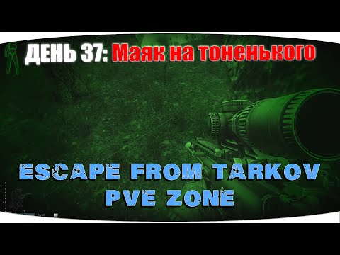 Видео: Двигаемся дальше | Escape from Tarkov PVE Zone | День 37
