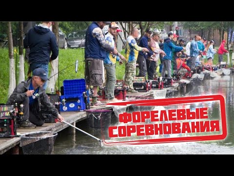 Видео: Форелевые соревнования. Кубок Московского Форелевого Клуба.