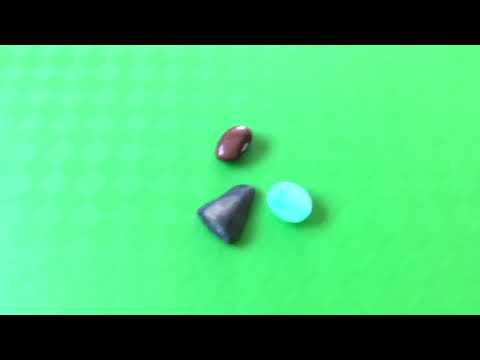 Видео: Ежемесячное чтение драгоценных камней по раку в ноябре 2025 года от Cognitive Universe