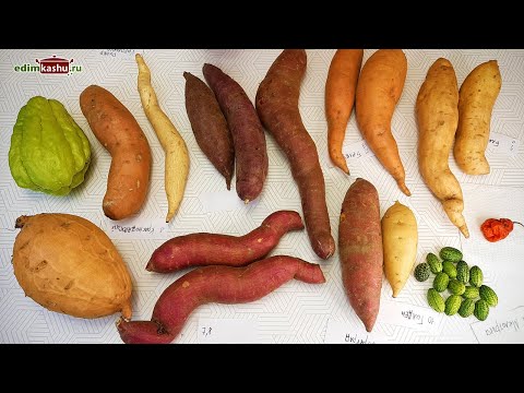 Видео: Чудо БАТАТ. Распаковка посылки. У нашей картошки появился серьезный конкурент😎