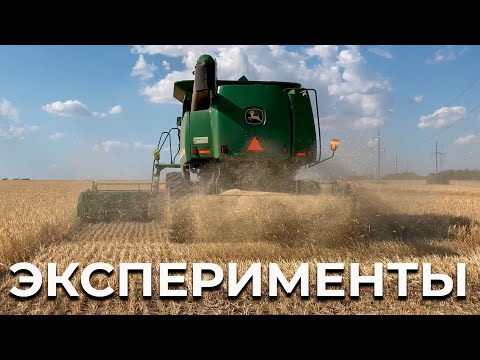 Видео: 40кг на гектар. Урожайность ячмень озимый 2022. Уборка экспериментов с нормами высева