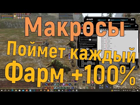 Видео: Макросы в Lineage 2 main. Настройка для новичка! Фарм в 2-3 раза больше, настроит даже ребёнок!