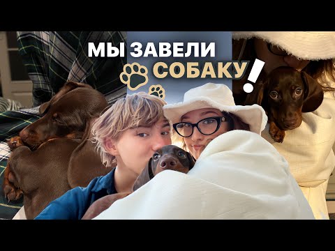 Видео: мы завели собаку