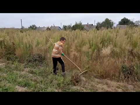 Видео: прекрасное видео ностальгия  от нашей Ирины 🥰💐