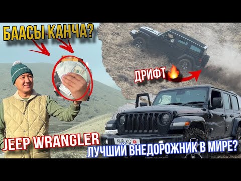 Видео: Айгырды Тоого Сынап кордум (Тест Драйв)🤯Совсееем жинди Экен Сел араны Туман кылдык