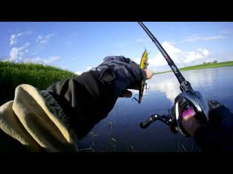 Видео: Спиннинг , выезд на рыбалку с товарищем , вторая половина дня и вечерка в день рыбака 9 июля 2023 г