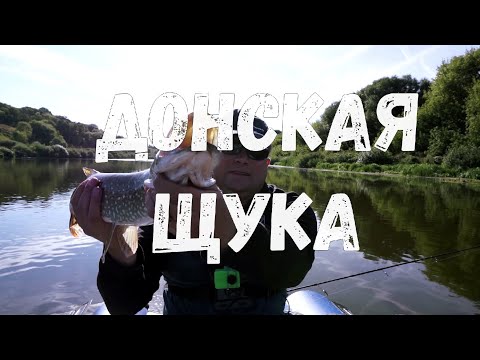 Видео: Рыбалка на Дону в Начале Осени | Ловля Щуки Воблерами