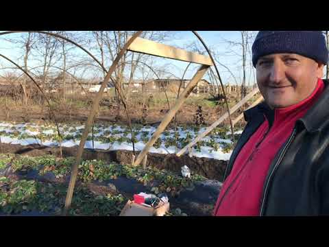 Видео: Строительство балаганов. В гостях у Сергея Зубцова. construction booths.