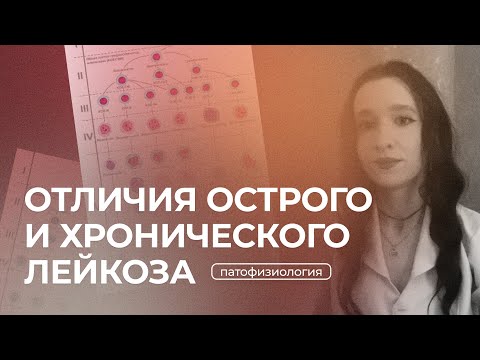 Видео: Отличие острых лейкозов от хронических | Патофизиология | анализ крови при лейкозе,