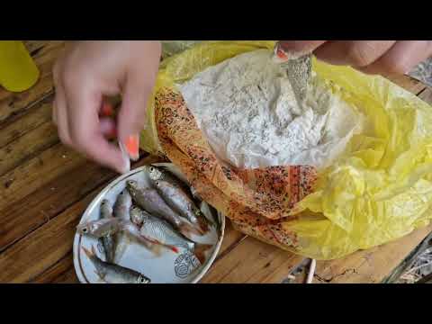 Видео: Третий день на палатках:Даня с уловом, а мы у костра