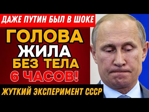 Видео: СЕКРЕТНЫЕ ОПЫТЫ СССР: Как советские учёные СМОГЛИ победить смерть в 1940 году