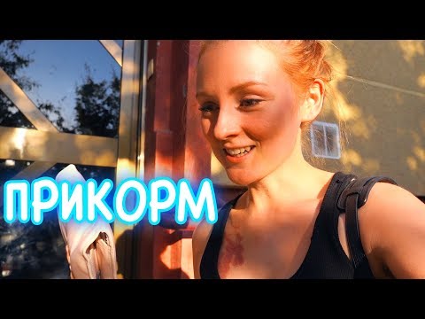 Видео: VLOG: ВСЕ О ПРИКОРМЕ В ИСПАНИИ! МЫ В ШОКЕ! 30.09.19