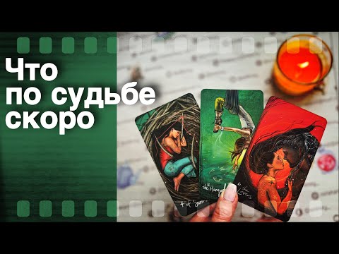 Видео: ❗️Вы даже не Представляете... Что уже происходит в Вашей жизни? 🌷♣️ таро прогноз ♥️ знаки судьбы