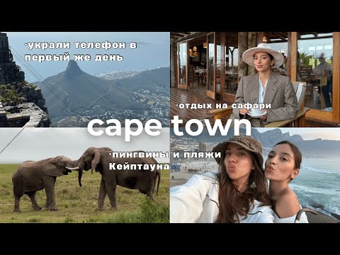 Видео: VLOG: Улетели с подругой в Кейптаун l первый в жизни сафари l безопасно ли на краю света?
