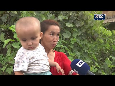 Видео: Дау-дамайсыз: Қайын әпкесінен қорлық көрген қорғансыз әйел