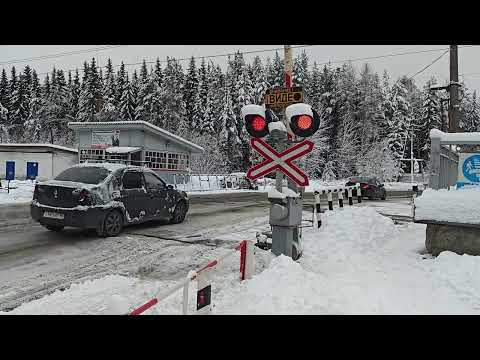 Видео: С первым выпавшим снегом и ВЛ11М-240А/239Б/240Б с грузовым