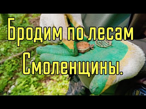 Видео: Бродим по лесам Смоленщины.