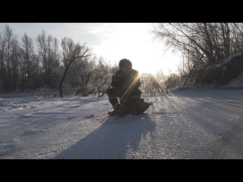 Видео: РЫБА НЕ ЛЕЗЕТ В ЛУНКУ! Вот это монстр клюнул на небольшой виб. Зимняя рыбалка 2024 на реке #рыбалка