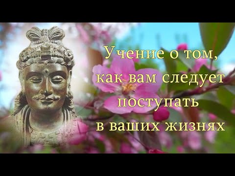 Видео: Учение о том, как вам следует поступать в ваших жизнях. Господь Майтрейя.