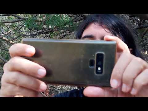 Видео: Обратная сторона Голубой Лагуны. Жесть.