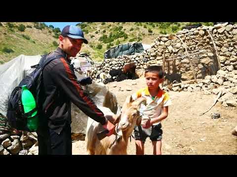 Видео: Сайри куххои д Артуч Яккахона ва Мадовра зодгохи Алишер Каноатзода ва Афросиеб пахлавон.