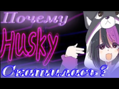 Видео: Неужели Husky скатилась?В чём причина?[Моё мнение по этому поводу]