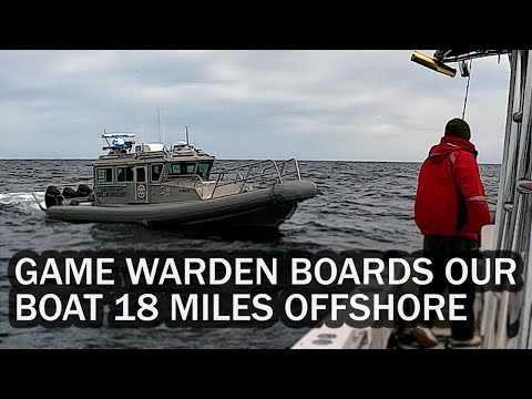 Видео: Нас взяли на абордаж сотрудники FWC в 18 милях от берега | Что они проверяют