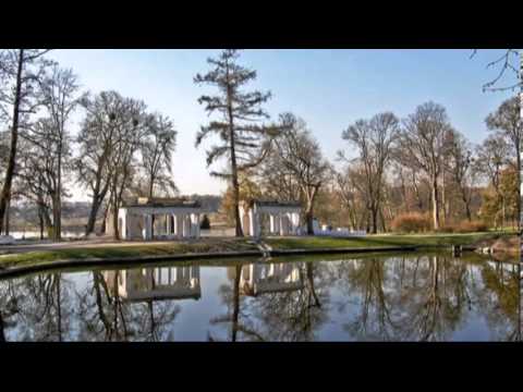 Видео: Памяти Евгения Потоцкого