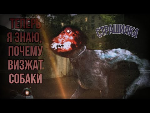 Видео: Теперь я знаю как визжат собаки |Страшилка гача| gacha страшилки на ночь |