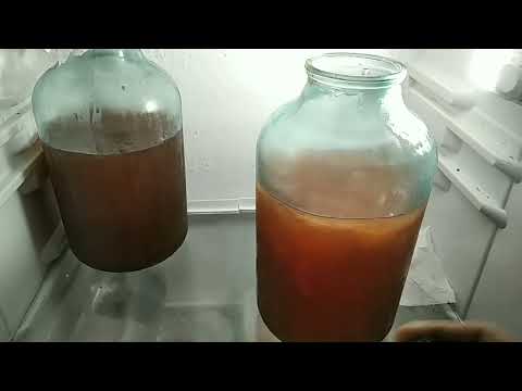 Видео: РЕЗУЛЬТАТ ОКЛЕЙКИ ЖЕЛАТИНОМ СУХОГО ВИНА