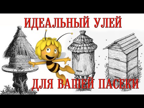 Видео: Идеальный улей для вашей пасеки | The perfect hive for your apiary