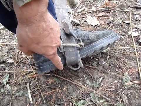 Видео: когти кедролазы часть 1