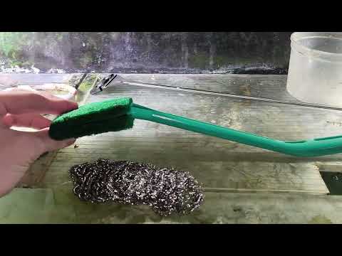 Видео: Обзор разводни и наличия рыбок на продажу