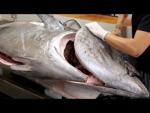 Видео: Роскошные сашими. Как разобрать тунца за 10 000 долларов.