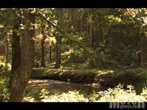 Видео: Тест-драйв: Skoda Octavia Scout