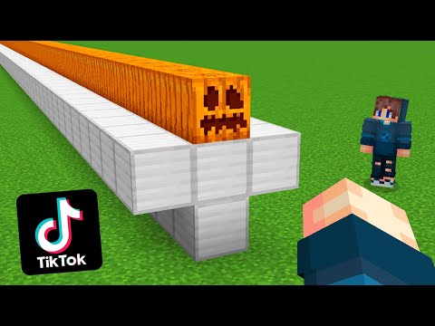Видео: ПОПУЛЯРНЫЕ ЛАЙФХАКИ ИЗ ТИК ТОК В МАЙНКРАФТ 100% РАБОТАЮТ ТРОЛЛИНГ! 100% TIKTOK БЕЗ МОДОВ МОД