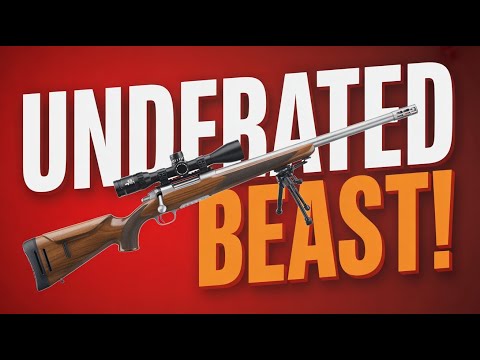 Видео: 5 недооцененных винтовок 2025 года, которые вас точно ШОКИРУЮТ!