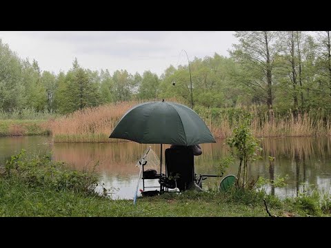 Видео: Ловля пикером Волжанка на старице реки. Рыбалка 2019. Беларусь.