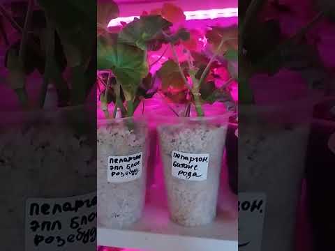 Видео: Наш зимний ассортимент 