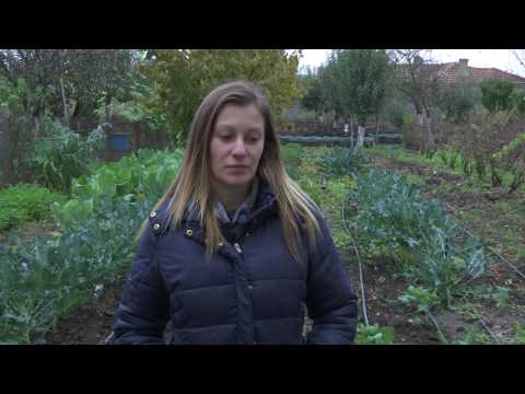 Видео: Интервю със земеделски производители - Епизод 1