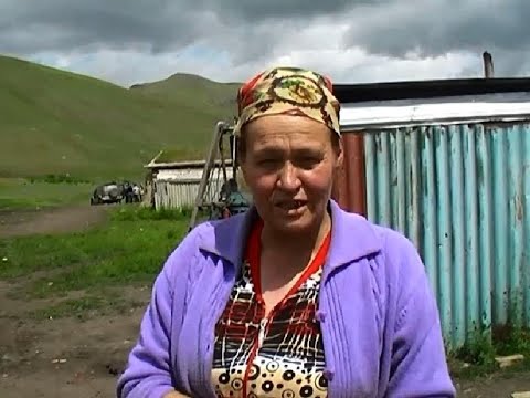Видео: Ұлкен қарағайлы,Шәлкөде .Қарасаз