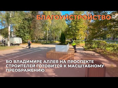 Видео: Во Владимире аллея на проспекте Строителей готовится к масштабному преображению