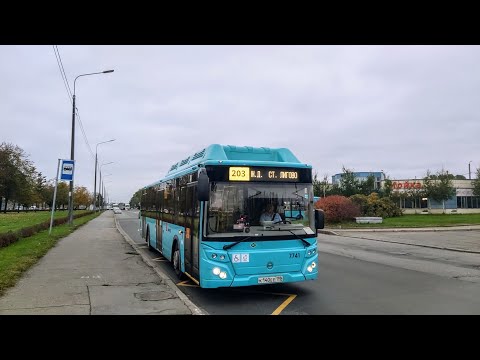 Видео: Автобус, маршрут №203 ЛиАЗ-5292.67 б.7741 (06.10.2022) Санкт-Петербург
