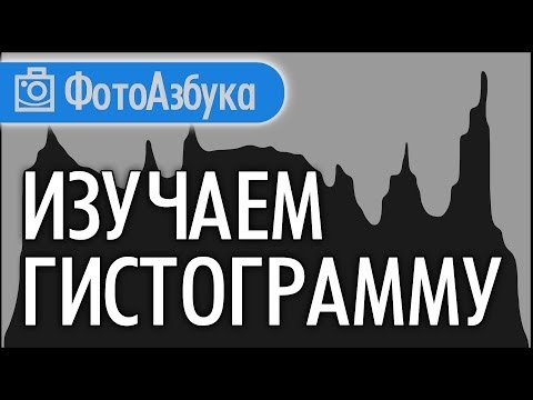 Видео: Что Такое ГИСТОГРАММА Уроки по фотографии |  Фотоазбука