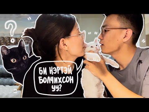 Видео: Ийм нэг 7 хоног 🐈: жижкэнээ нэртэй болов