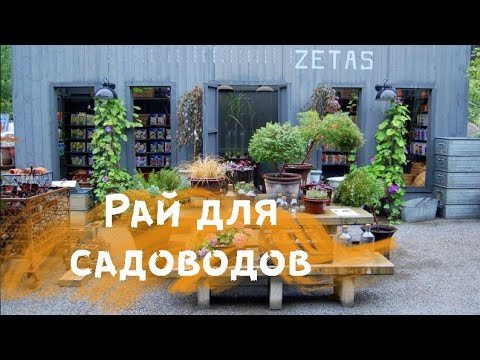 Видео: Рай для садоводов - влог из магазина рассады Zetas Trädgård