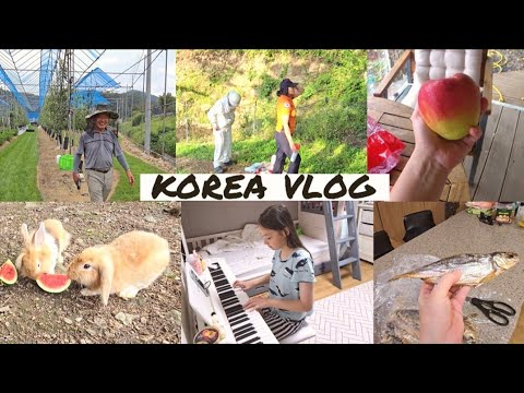 Видео: Моя обычная жизнь в Южной Корее / KOREA VLOG