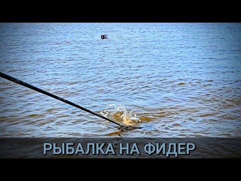 Видео: Ловля леща на фидер. Фидер на реке. Поклёвки на фидер. Рыбалка 2025
