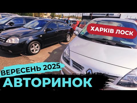 Видео: Огляд Авторинку, РОЗІГРАШ, АВТО по гарній ціні !