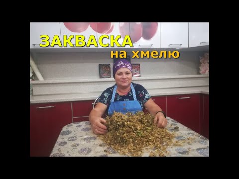 Видео: Закваска на хмелю!